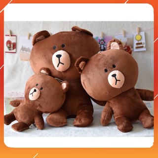 Gấu Bông brown, Gấu Ôm Nâu Siêu Dễ Thương