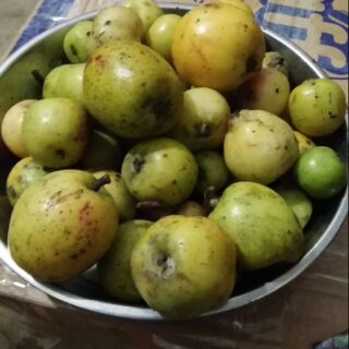 Combo 2kg táo mèo tươi