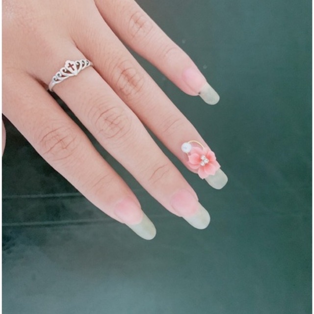 hoa bột-hia nails( mai cham )