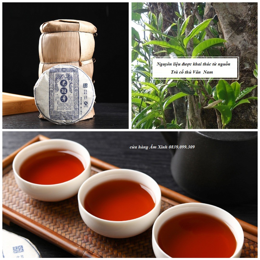Bánh trà phổ nhĩ chín, trà cổ thụ Vân Nam 100 gram (năm 2014)