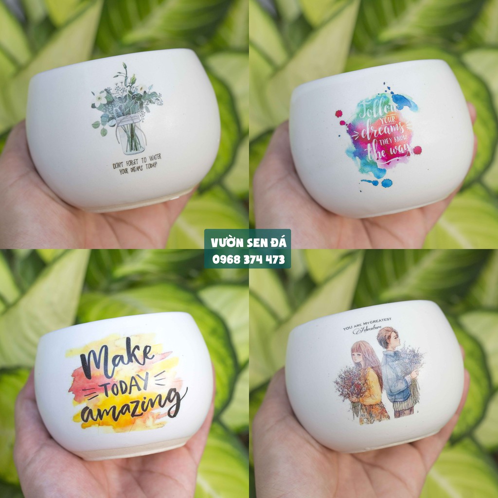 Chậu sứ hạt dẻ mini 8x8cm - In hình