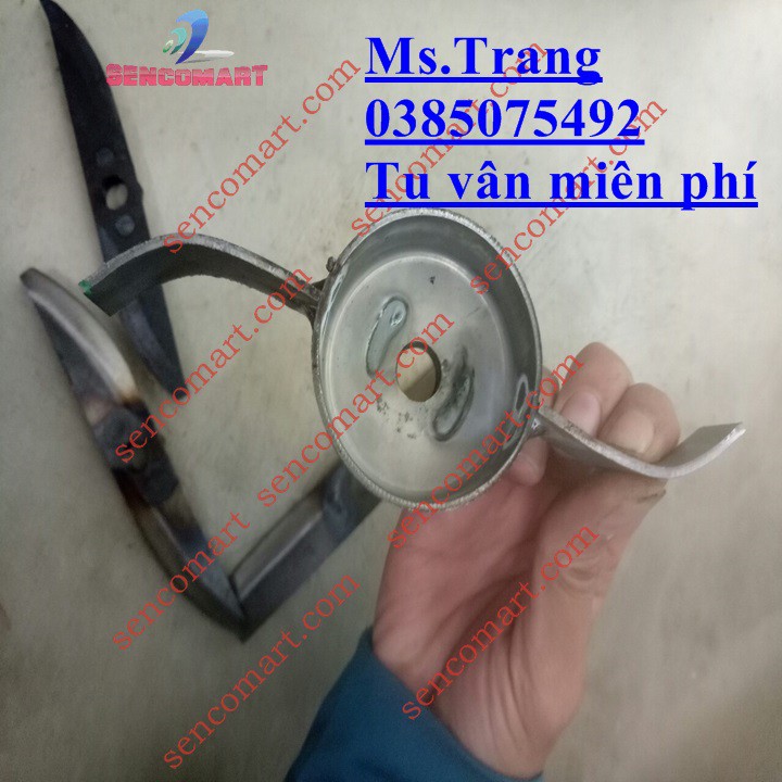 Máy xay rau muốn cho heo - cá
