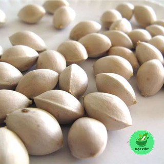 Bạch quả [1KG] khô - DV113