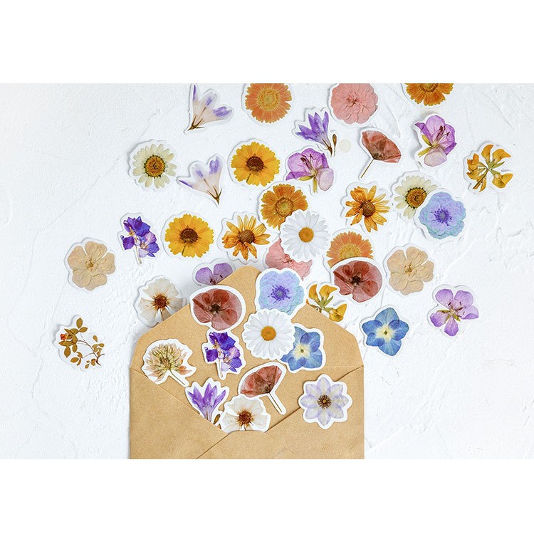 Hộp 46 miếng sticker mẫu hoa cúc trắng