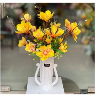 Mộc lan cao su sịn 5 bông