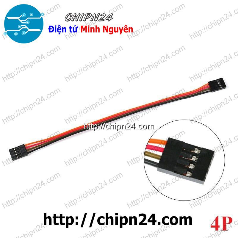 [2 SỢI] (D120) Dây bẹ màu 2.54mm 4p 20cm