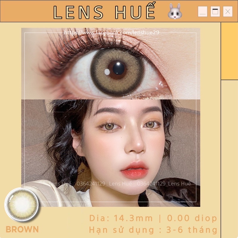 Lens Vivi Ring Green 0 độ ( kính áp tròng ) màu tây vân đơn giản xanh lá tây - Lens Huế 🐰