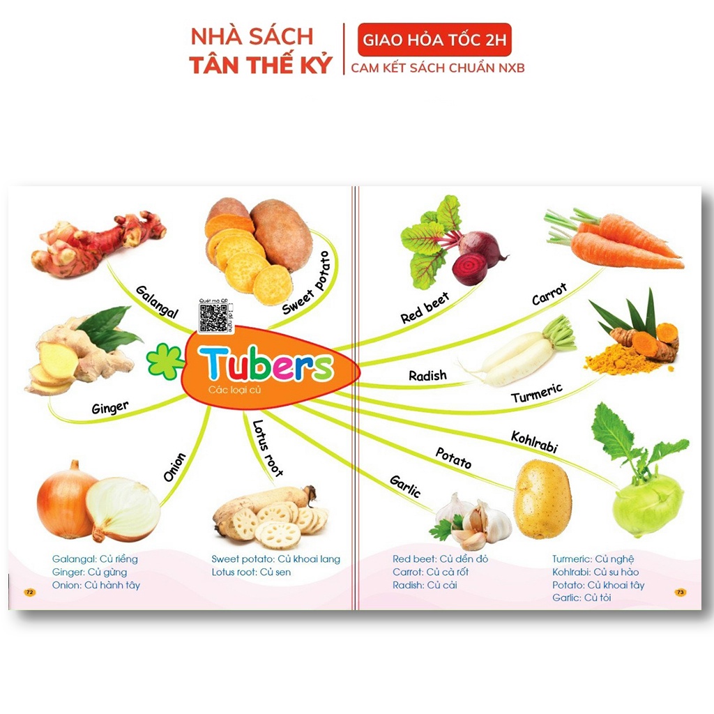 Sách - Combo Chinh Phục Từ Vựng Tiếng Anh - Theo Sơ Đồ Tư Duy Mind Map - 1001 Mẫu Câu Tiếng Anh Giao Tiếp Thông Dụng