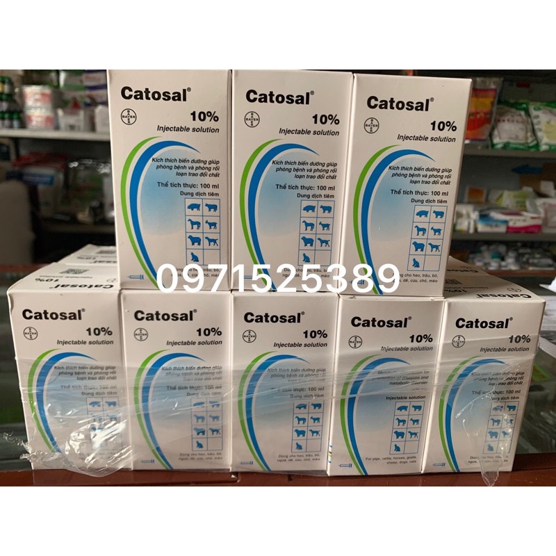 Catosal -bổ cao cấp dùng cho gà đá, gà chọi, gà tre, chó, mèo, heo, trâu, bò, bê, nghé
