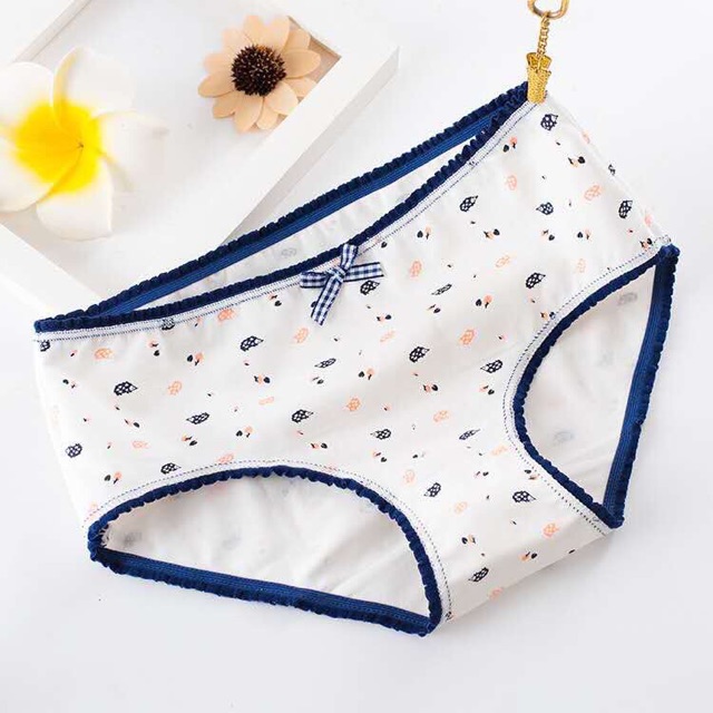 quần lót cute chất cottton (set 5)