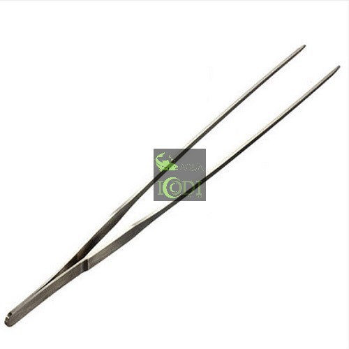 Nhíp trồng cây cho bể thủy sinh