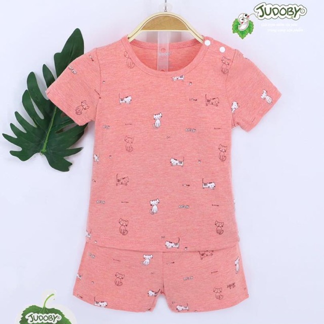 Combo c Bích Ngọc