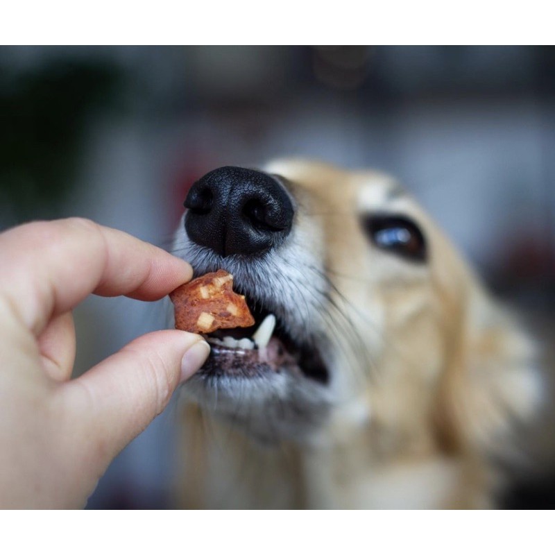 [𝐂𝐎𝐃𝐄𝟏𝟓% 𝐘𝐔𝐏𝐏𝐘𝐍𝐘] Rinti Treat training viên cheese và gà cho chó