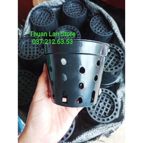 Set 10c Chậu Nhựa Trồng Lan Nhiều Lỗ F10