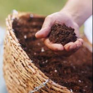 1kg ĐẤT DINH DƯỠNG TRỒNG RAU