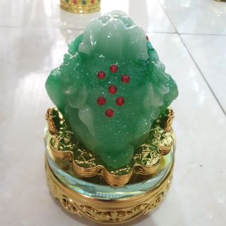 Cóc thiềm thừ màu xanh