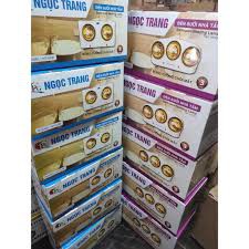 Đèn sưởi nhà tắm 2 bóng Ngọc Trang