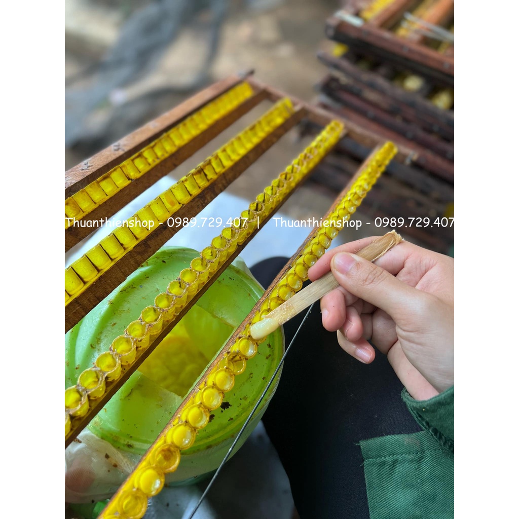 Cao Tinh Nghệ Sữa Ong Chúa Thuận Thiên - Hũ 100gram