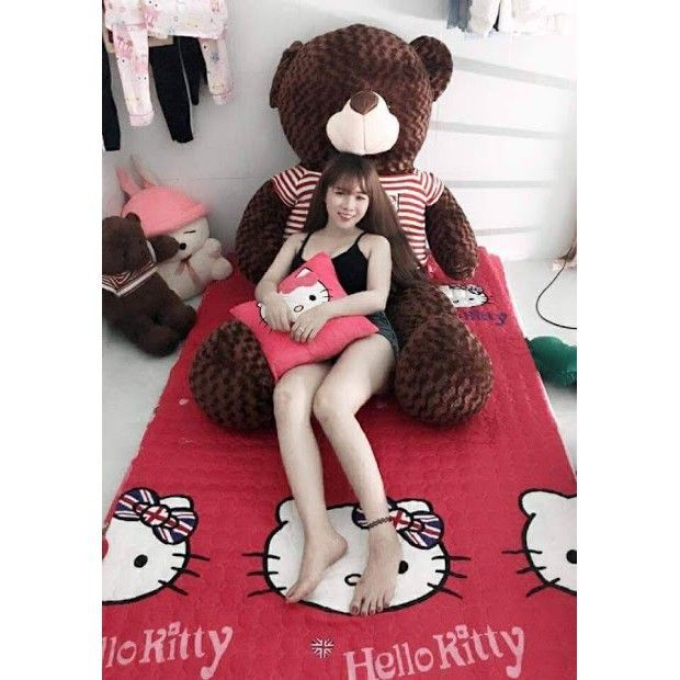 Gấu Bông Teddy Khổ vải 1,9m cao 1,7m