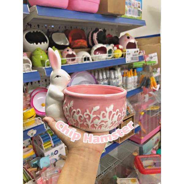 [Mã 252FMCGSALE giảm 8% tối đa 100k đơn 500K] Nhà tắm thỏ hồng