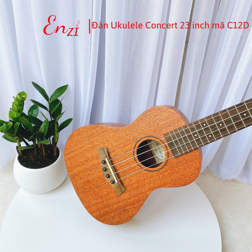 Đàn ukulele concert Enzi C10T màu gỗ phong cách cổ điển, âm thanh vang sáng giá rẻ chất lượng