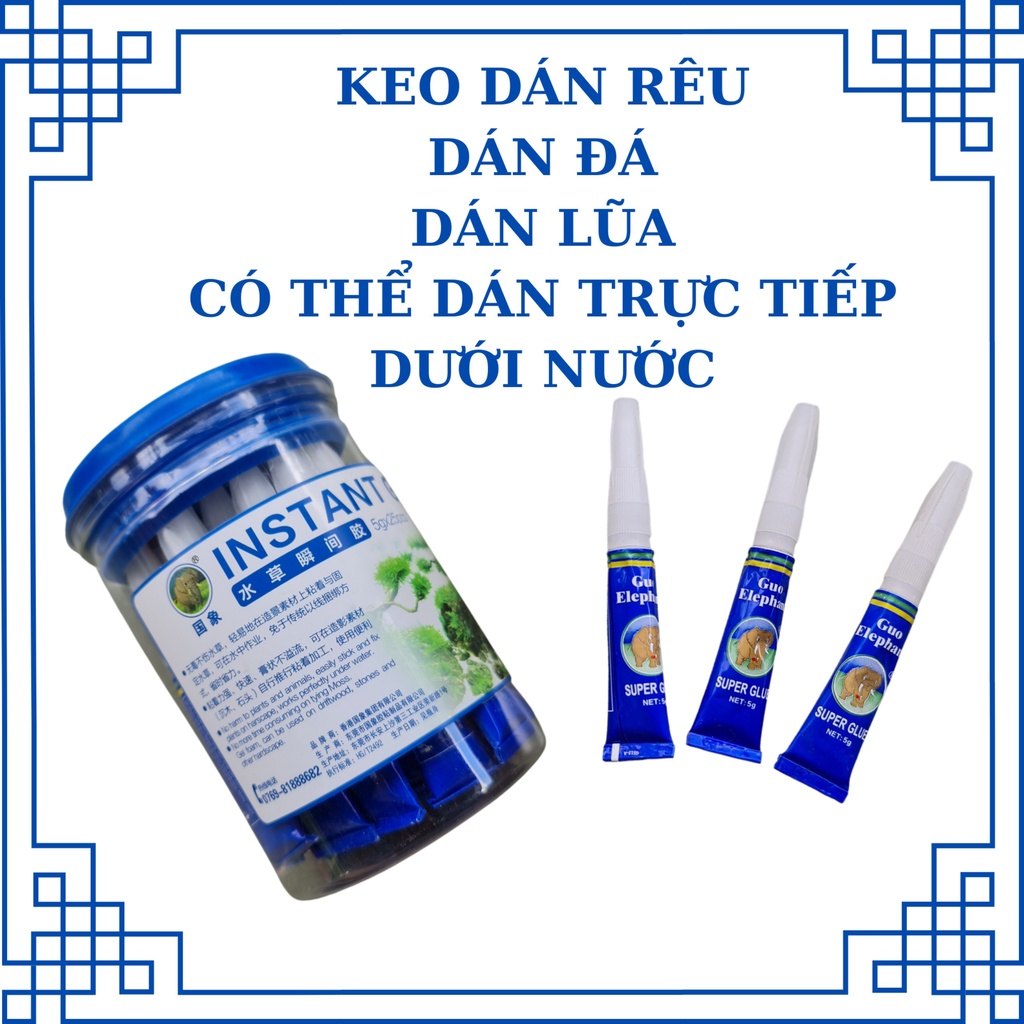 Keo dán rêu, san hô, thực vật thủy sinh