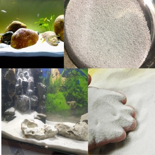 Cát trắng trang trí hồ cá