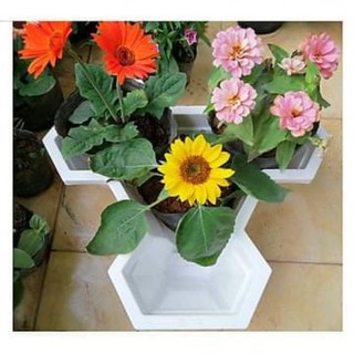 Chậu nhựa trồng hoa.Chậu hoa tầng việt nhật