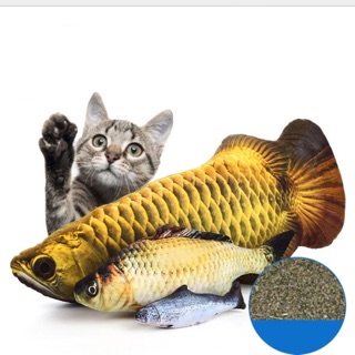 Cá bông catnip size to