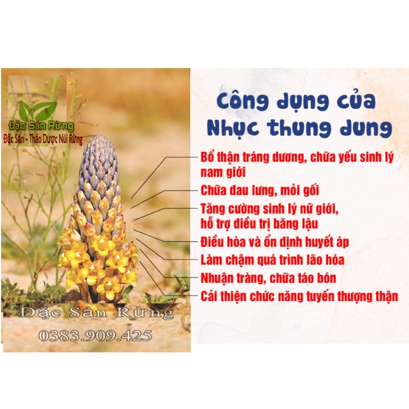 Nhục Thung Dung Khô  - Tăng S/Lý