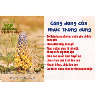 Nhục Thung Dung Khô ( 100gr ) - Tăng S/Lý