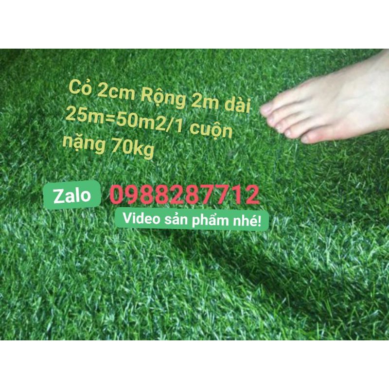 Combo 40m2 thảm cỏ 2cm