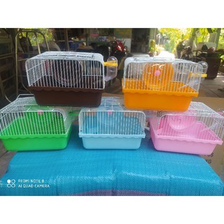 Lồng đế màu, đế trong mini Hamster Full phụ kiện