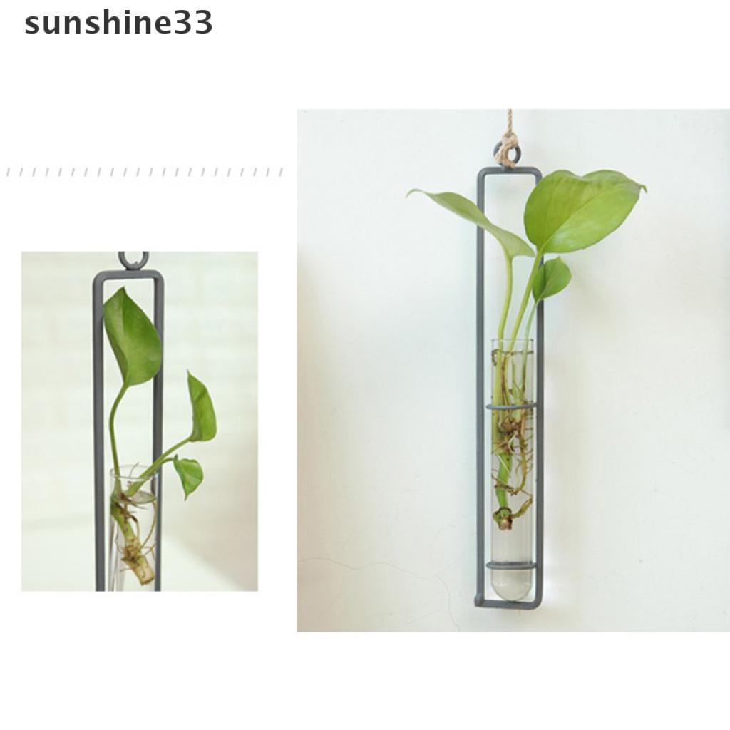 Bình Hoa Thủy Tinh Trong Suốt Treo Tường Bằng Sắt