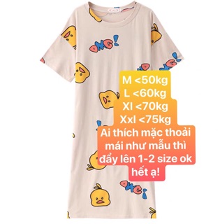 ÁO NHÀ TÁO