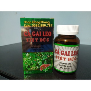 Cà gai leo việt đức, giải độc, mát gan, lợi mật, tăng cường chức năng gan