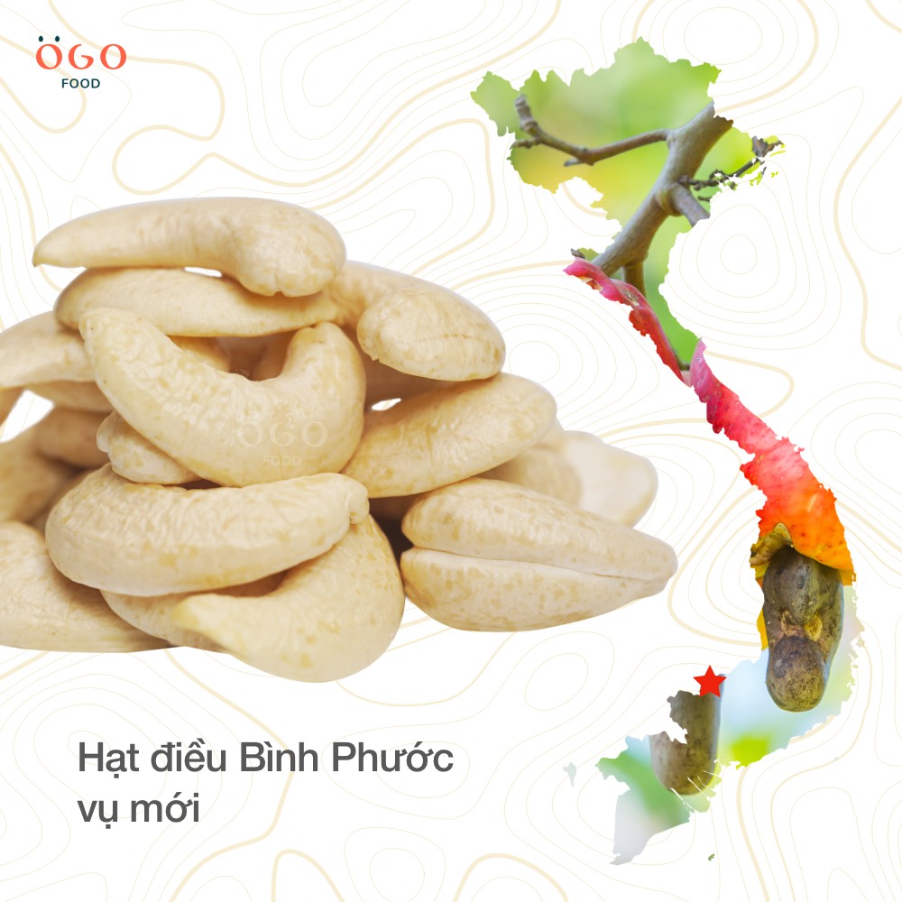 Hạt Điều Tươi, Nhân Trắng - Để Nấu Sữa - OGO Food - 200g, 500g