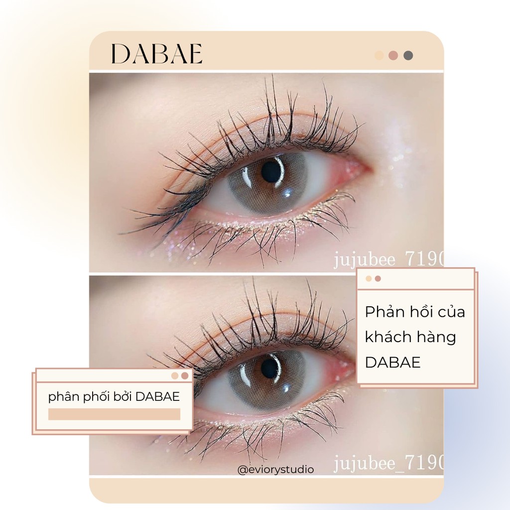 hãng Siesta XAM TÂY kính áp tròng  Hàn Quốc lens xám cực tây chất liệu PC Hydrogel cao cấp không có độ cận