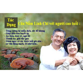 Nấm linh chi đỏ dạng khay Hàn Quốc