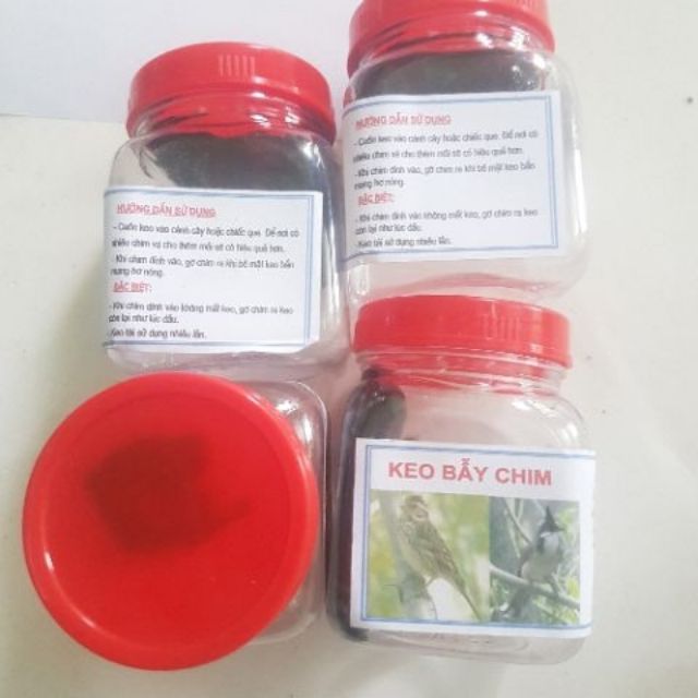 Keo bẫy chim khuyên, sẻ, chào mào đồ câu cá