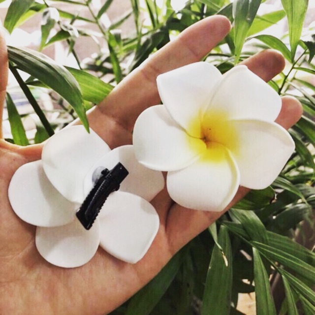 Tặng hoa đại cho hoá đơn 100k ( Combo 2 bộ 140k)