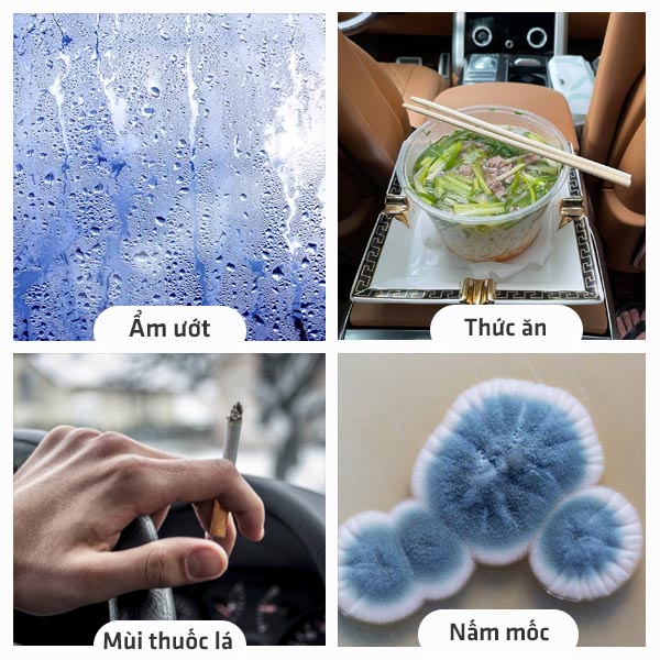 Nước hoa oto Hàn Quốc 100ml, khử mùi ô tô kết hợp tinh dầu tự nhiên đem lại không khí trong lành cho xế yêu HC01DCC