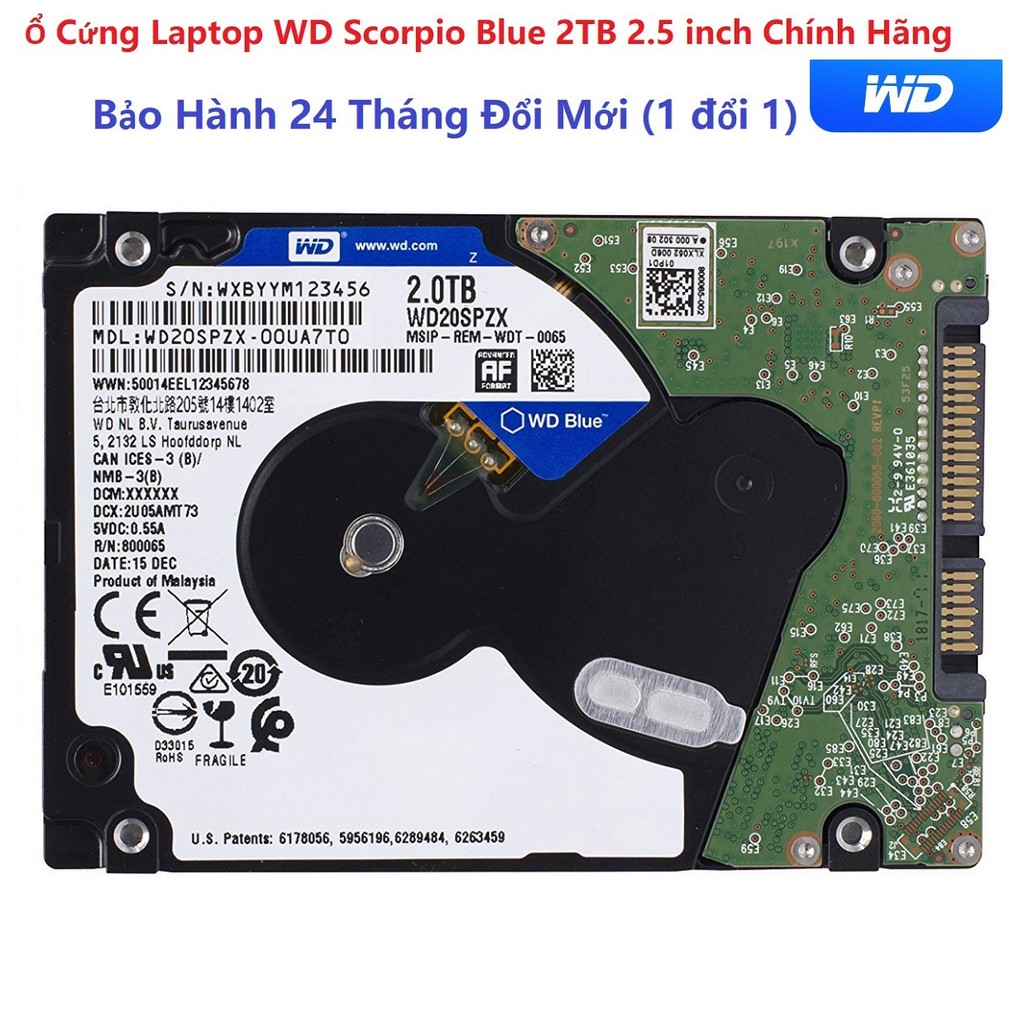 Ổ Cứng HDD Laptop WD Blue 2TB 2.5 inch SATA3 6Gb/s Mới - Bảo hành 24 tháng 1 đổi 1