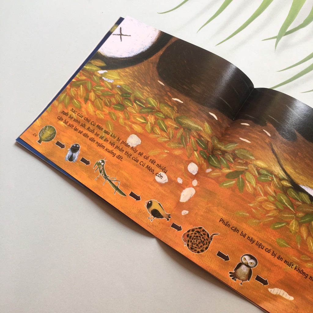 Sách - Bộ Những Câu Chuyện Khoa Học Dành Cho Thiếu Nhi