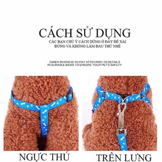 Dây dắt chó mèo đi dạo kèm yếm (dưới 5kg)