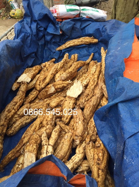 1Kg Bột sắn dây nguyên chất Hà Nội (ATTP) | BigBuy360 - bigbuy360.vn
