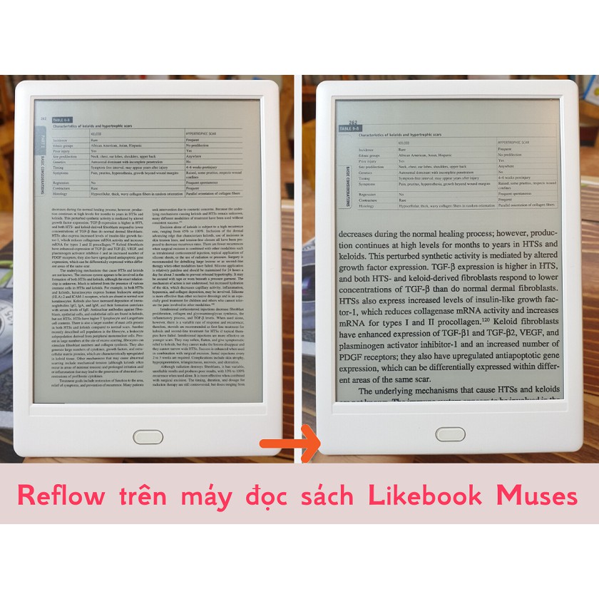 Máy đọc sách Likebook Muses tặng kho sách chuẩn 12.000 cuốn và kho sách PDF 5.000 cuốn cập nhật hàng ngày | BigBuy360 - bigbuy360.vn