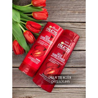 Dầu gội Garnier Fructis combo