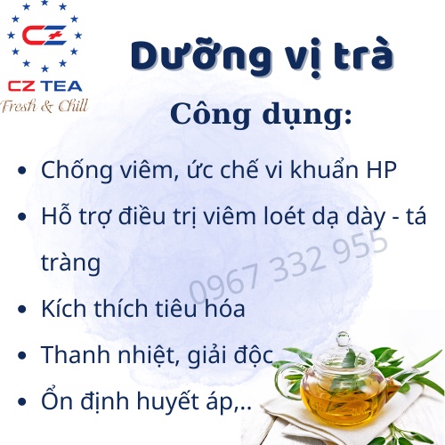 Chè dây túi lọc - DƯỠNG VỊ TRÀ - chống viêm, ức chế vi khuẩn HP, kích thích tiêu hóa, hỗ trợ viêm loét dạ dày tá tràng