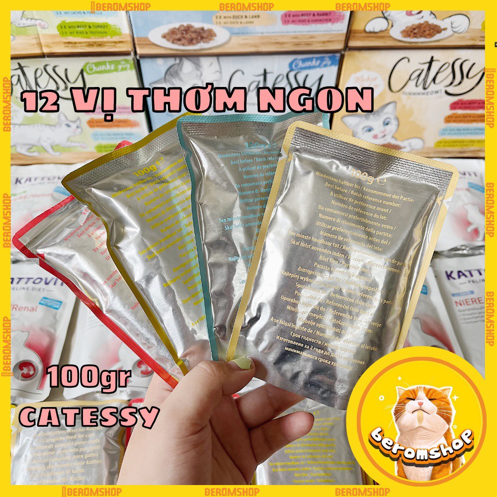 PATE GÓI CHO MÈO CATESSY DẠNG THẠCH 8 VỊ 100G NHẬP ĐỨC CỰC NGON